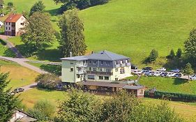 Hotel Grüner Baum mit Restaurant&Wellness